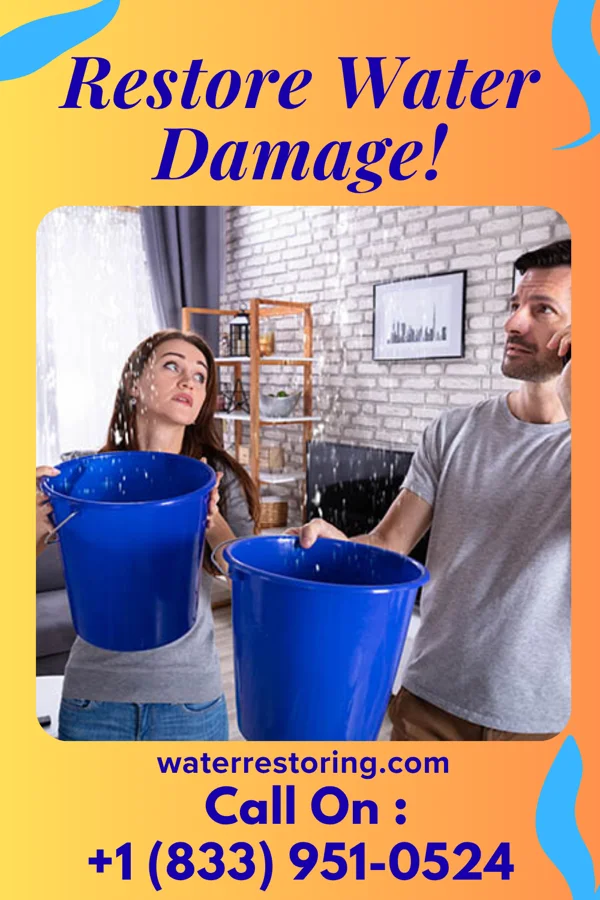 water restoration New Flood Damage Contractors Olivet