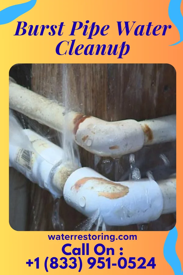 Burst Pipe Water Cleanup in Olivet, NJ