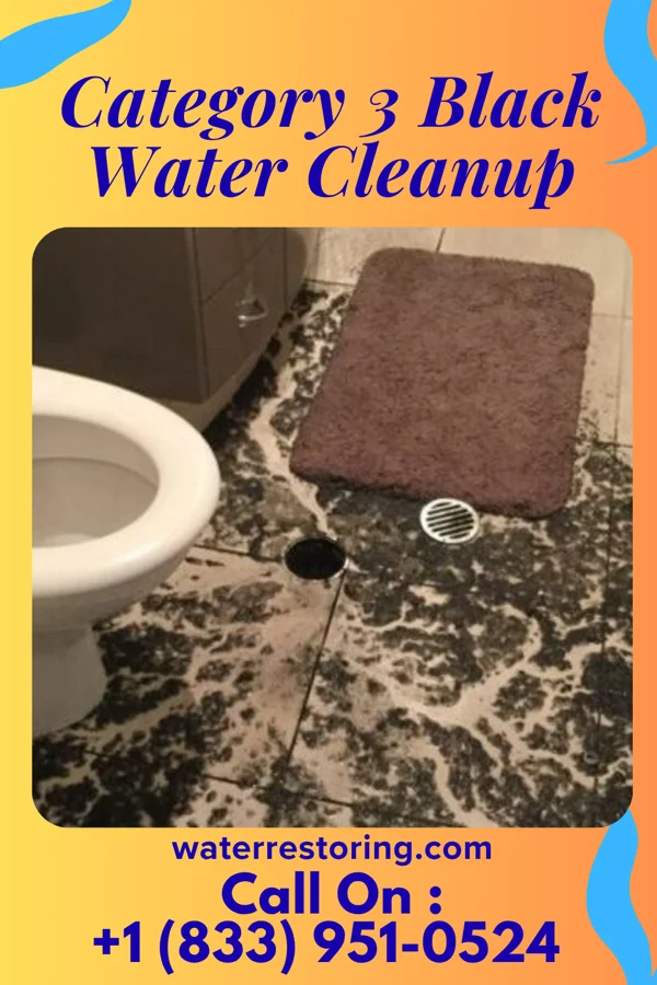 Category 3 Black Water Cleanup in Olivet, NJ