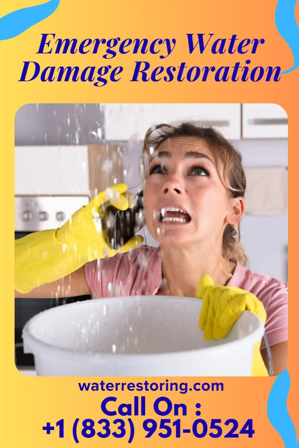 Emergency Water Damage Restoration in Olivet, NJ