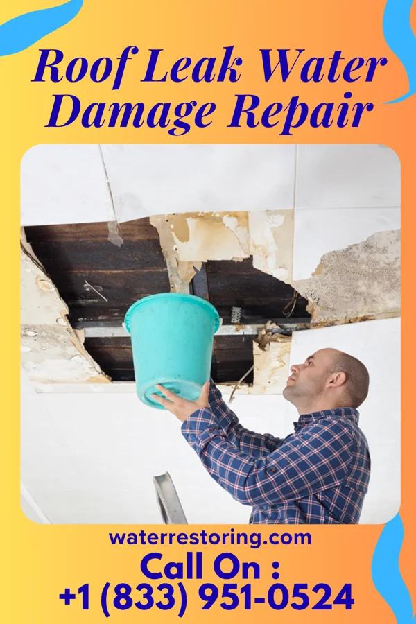 Roof Leak Water Damage Repair in Olivet, NJ