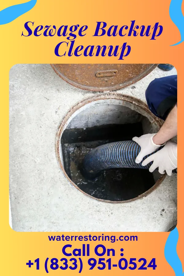 Sewage Backup Cleanup in Olivet, NJ